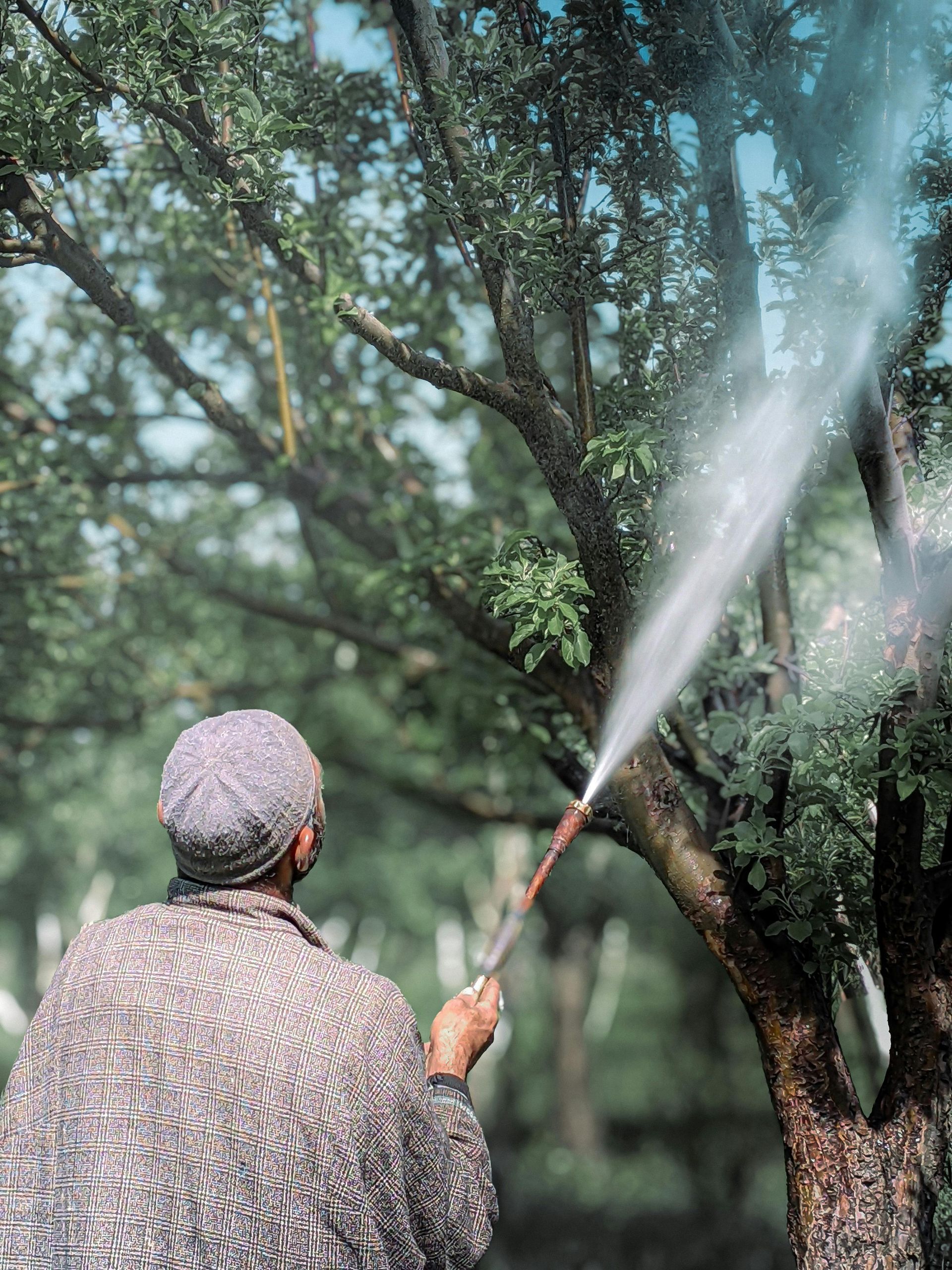 Person spraying a tree with a hose. They wear a fuzzy coat and hat, spraying water toward the green foliage.