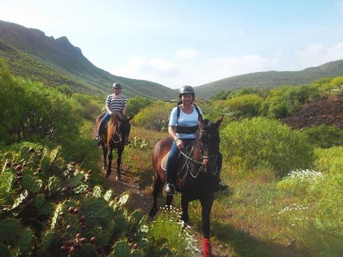 Horse Riding Adventures in Tenerife - Official Website - Horse Riding Adventures in Tenerife - Official Website
