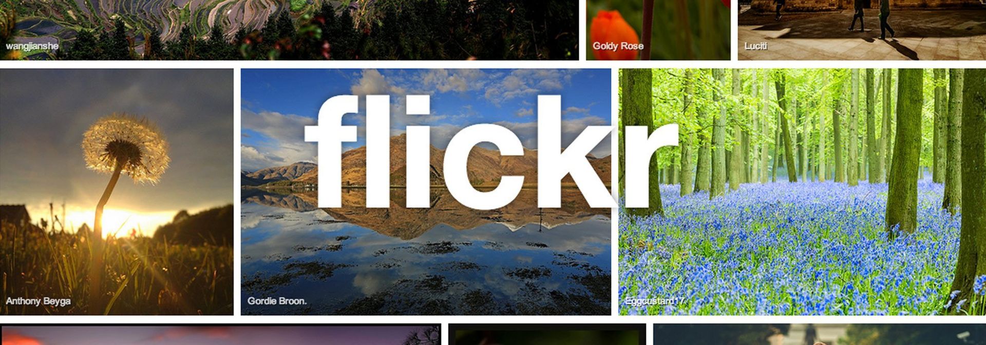 Flickr Marketing Agency Solution Web Designs