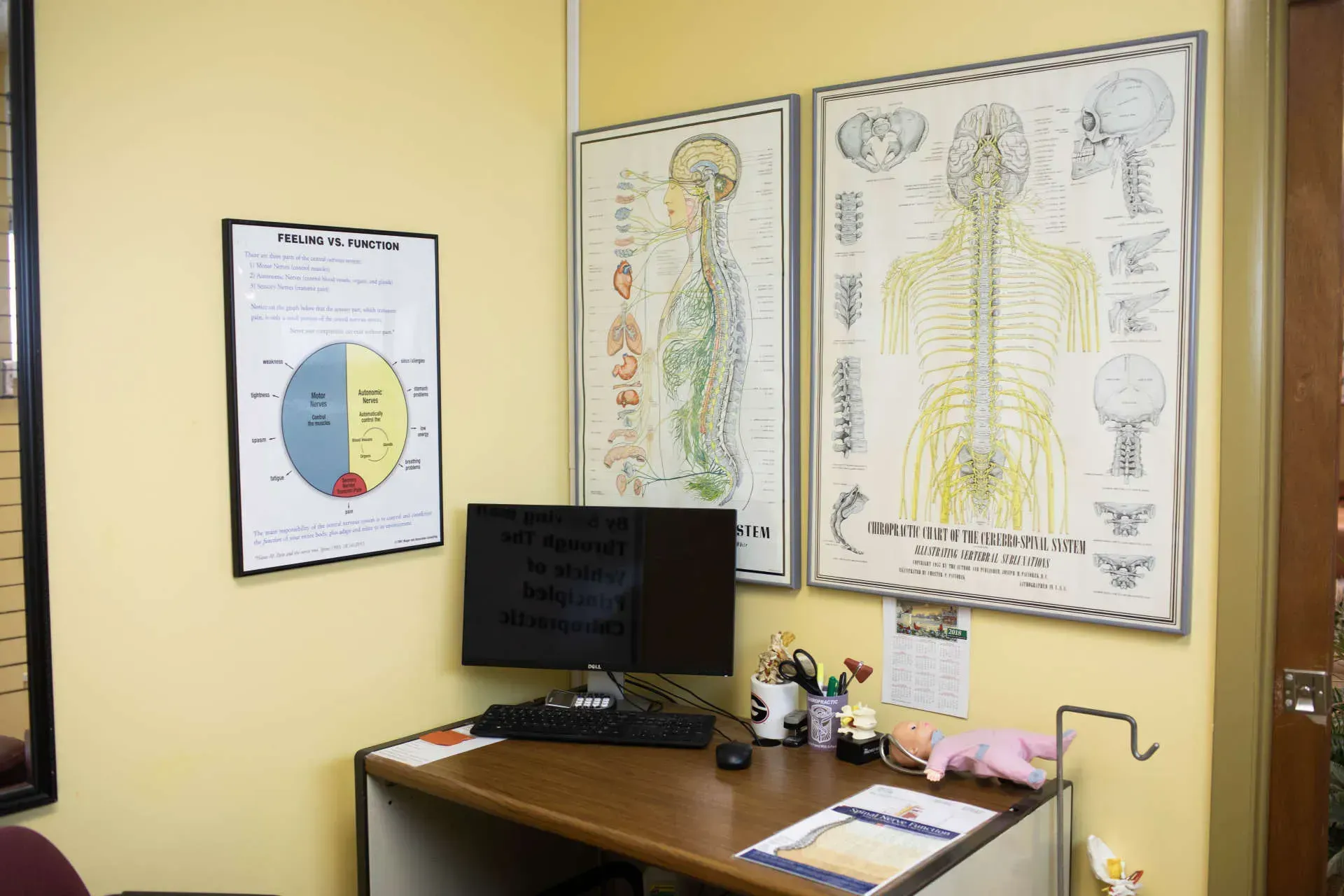 Small office corner with anatomy posters, desk, monitor, and supplies against pale yellow walls.