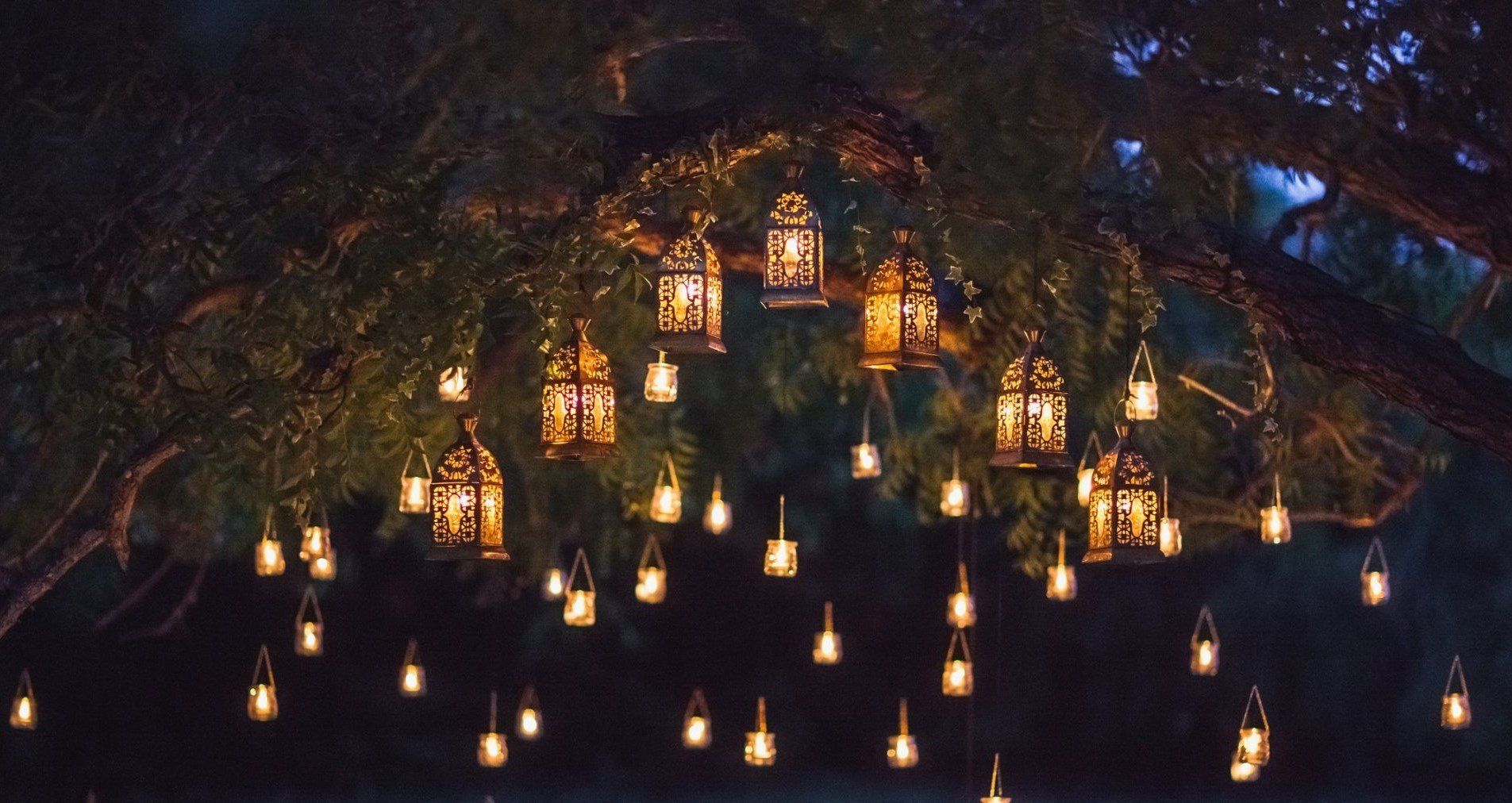 planning a memorial service hanging lanterns on tree dark night