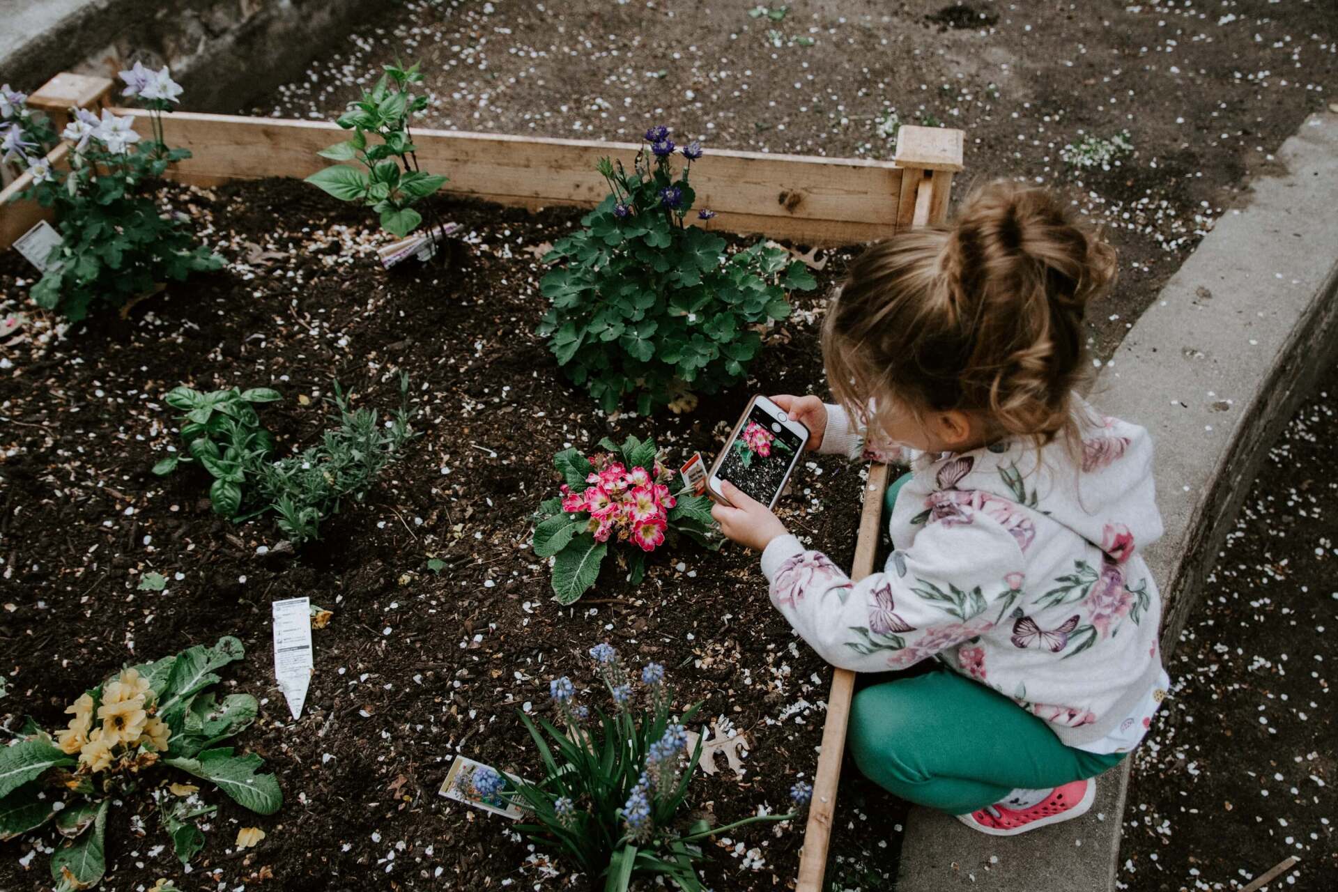 virtual memorial service child gardening