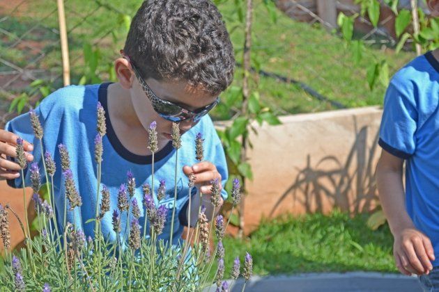 Um garoto usando óculos escuros está cheirando uma flor em um jardim.