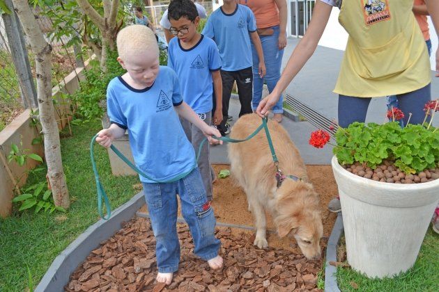 Um grupo de crianças está passeando com um cachorro na coleira