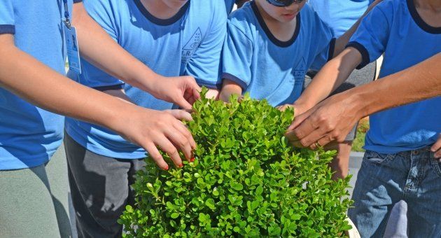 Um grupo de crianças de camisa azul está tocando uma planta.