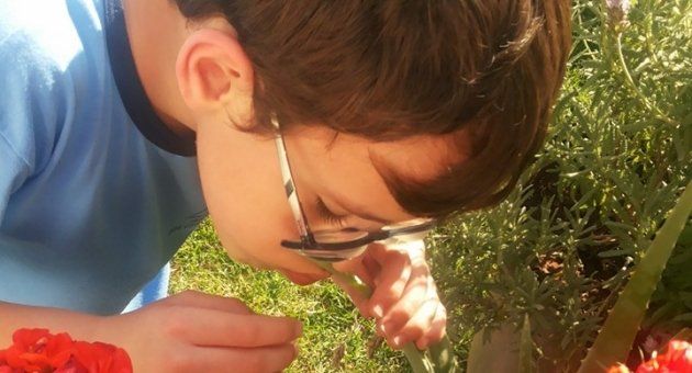 Um menino usando óculos está olhando através de uma lupa para uma flor.