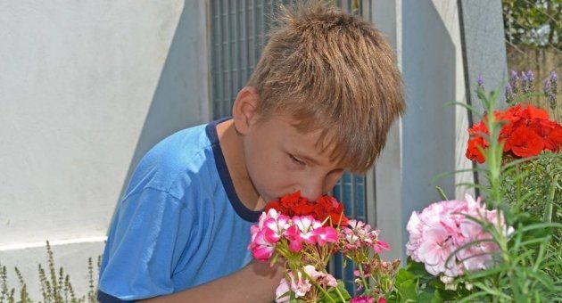 Um menino está cheirando flores em um jardim.