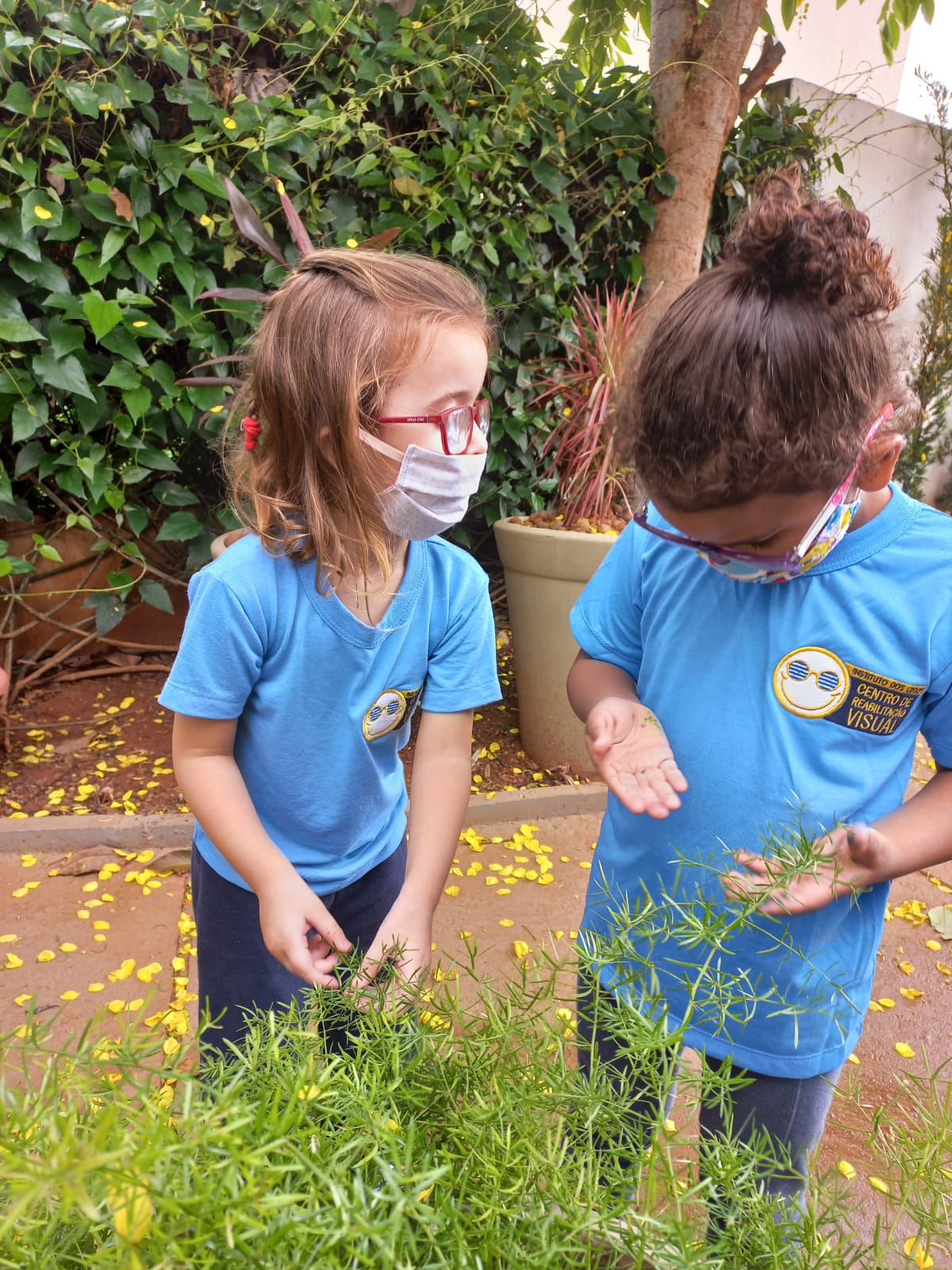 Duas meninas pequenas usando óculos e máscaras faciais  tateando uma planta.