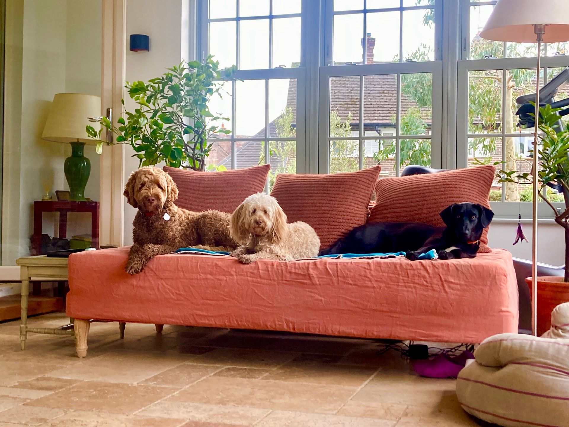 The DogLounge Boutique Hotel