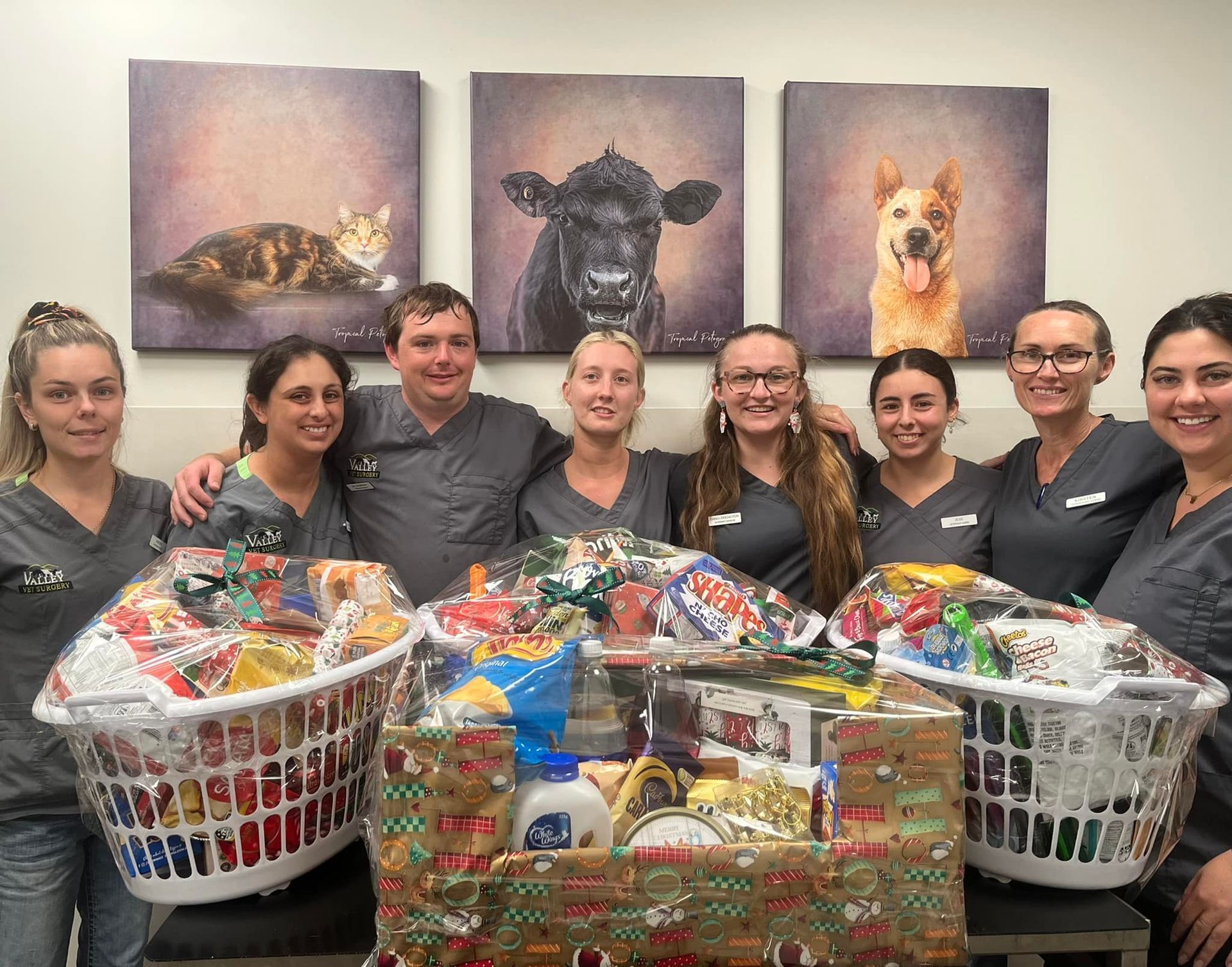 A Woman Is Holding A French Bulldog — Valley Vet Surgery In Walkerston, QLD