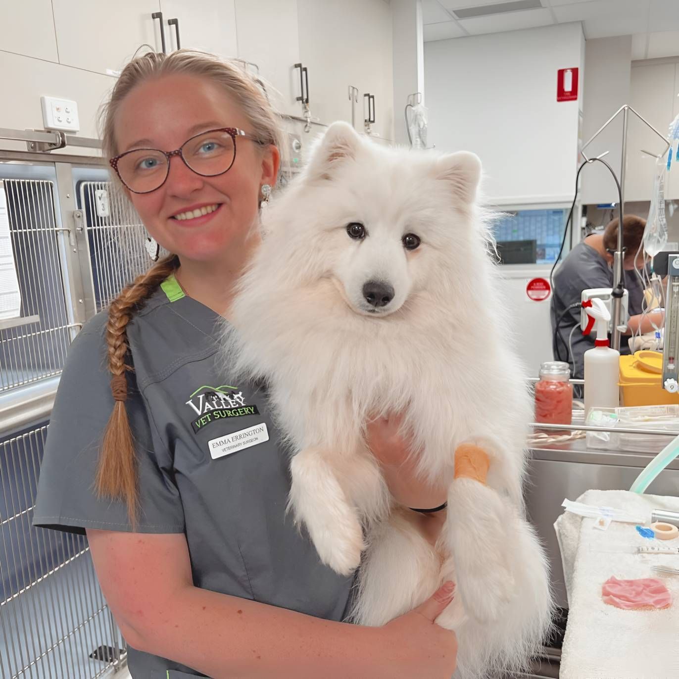 A Female Veterinarian Is Holding A White Dog — Valley Vet Surgery In Walkerston, QLD
