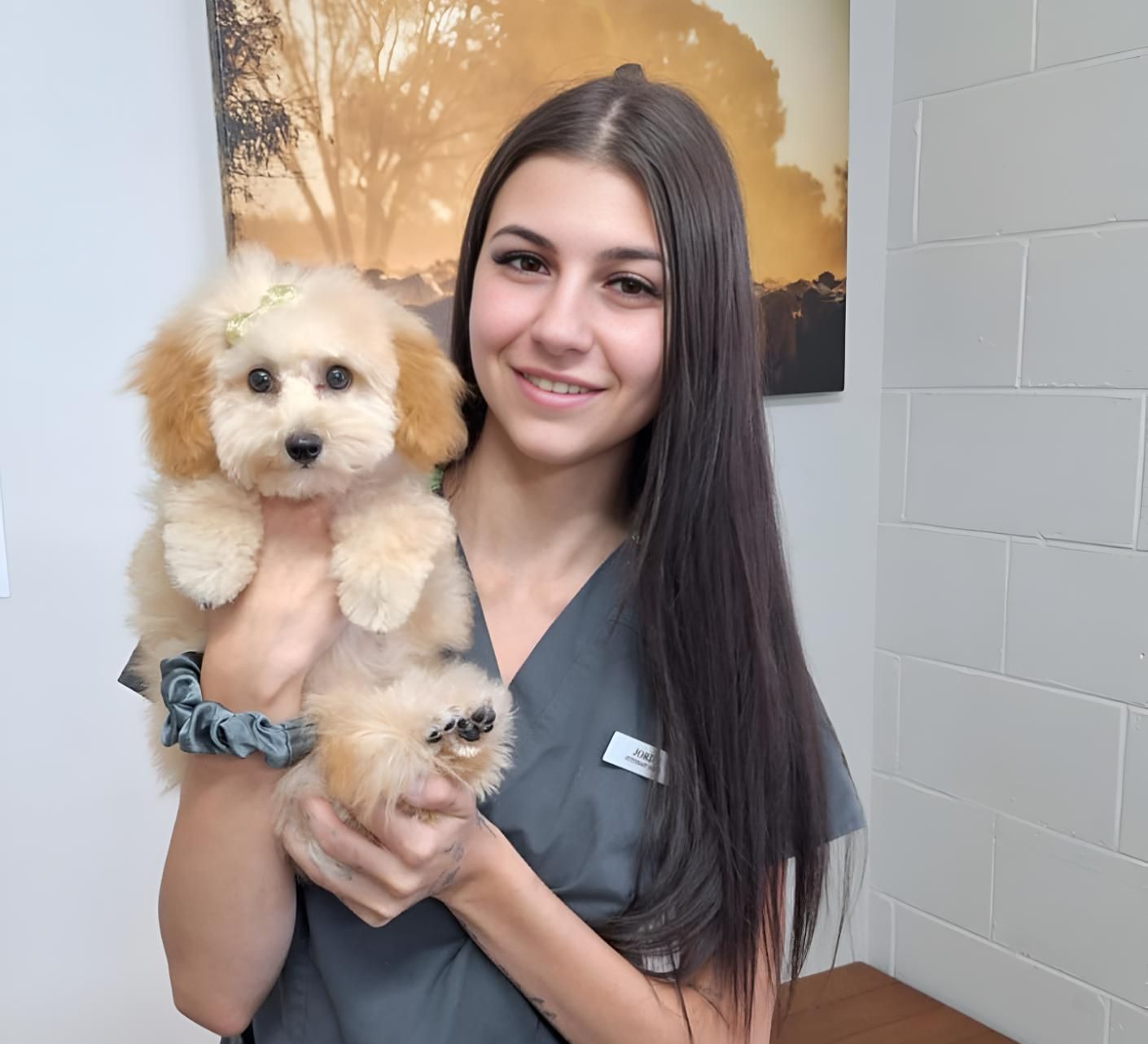 A Woman Is Holding A Small Dog In Her Arms — Valley Vet Surgery In Walkerston, QLD