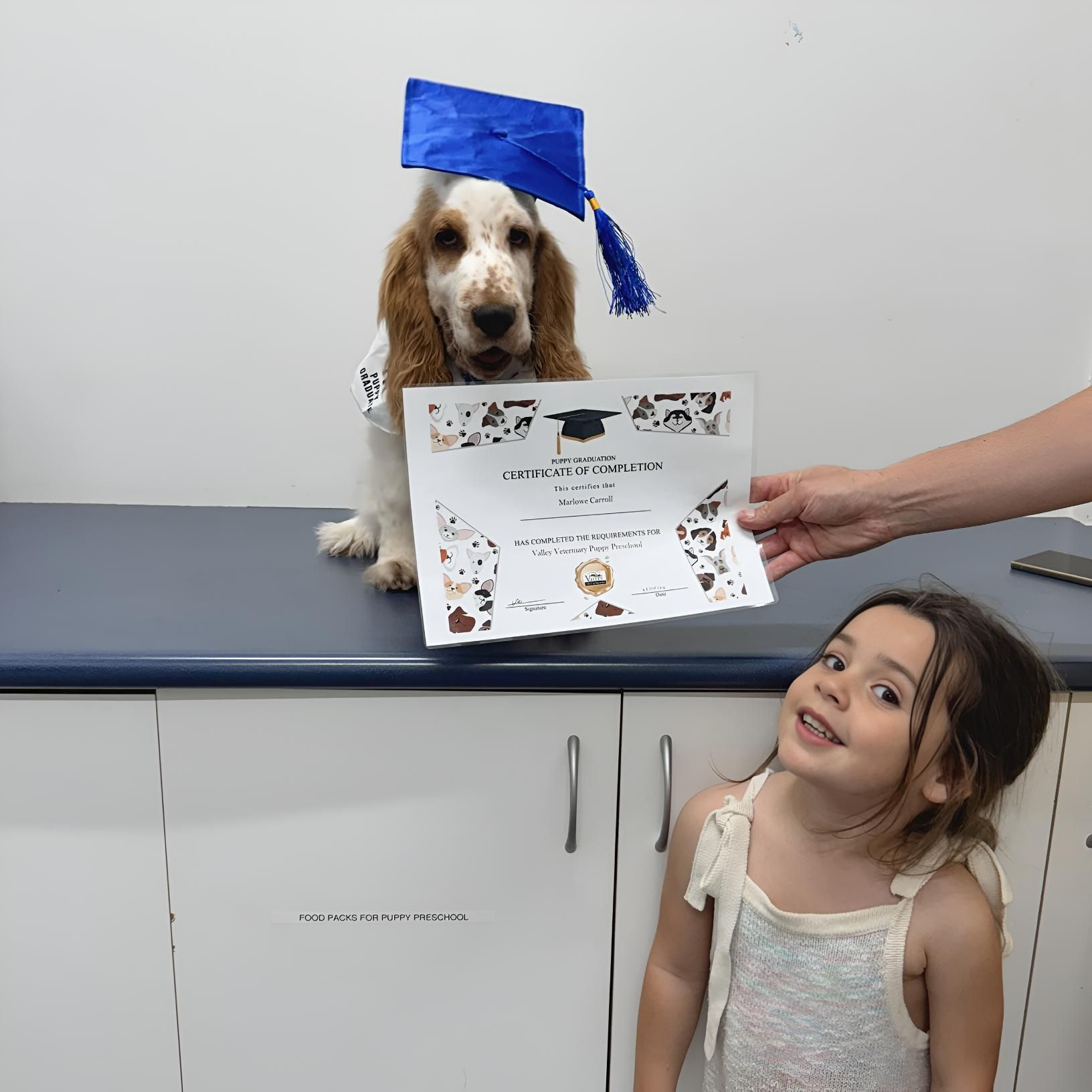A Little Girl Is Holding A Certificate Next To A Dog — Valley Vet Surgery In Walkerston, QLD