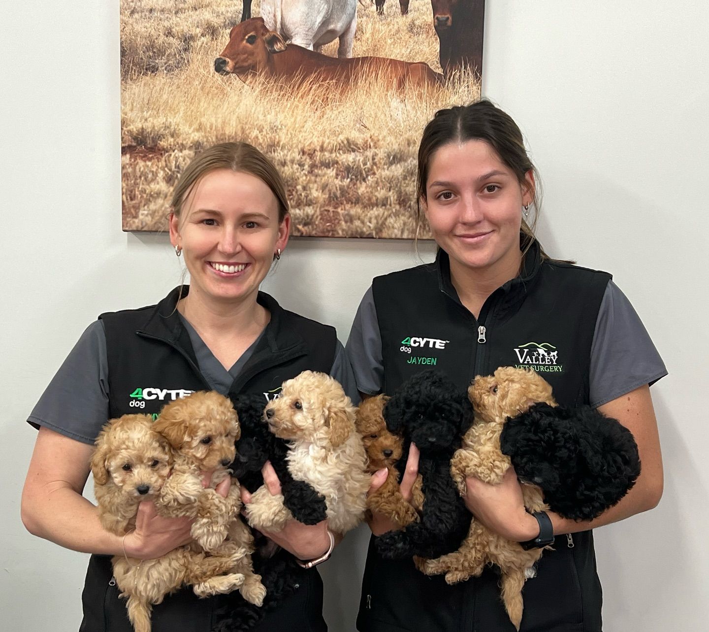 A Group Of People Standing With Baskets Of Food — Valley Vet Surgery In Walkerston, QLD
