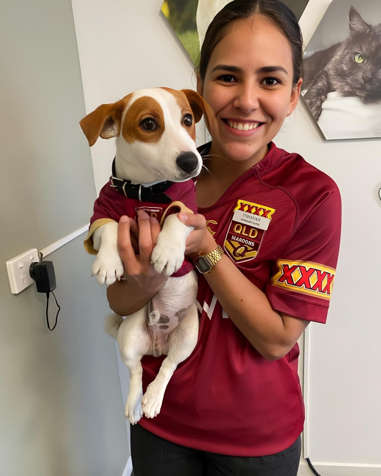 A Woman Is Holding A Small Dog — Valley Vet Surgery In Walkerston, QLD