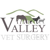Valley Veterinary Overnight Animal Hospital Veterinary Surgery In