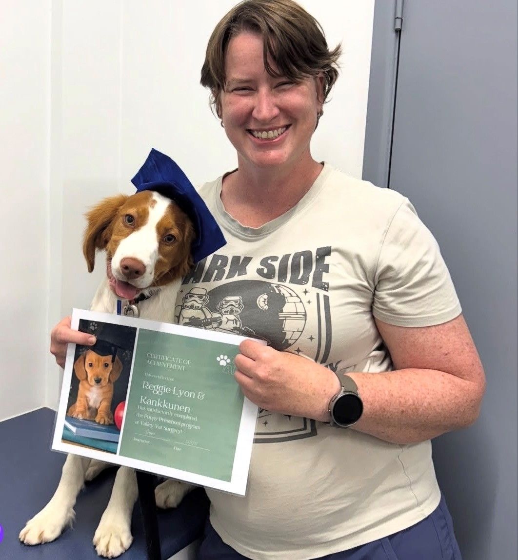 A Girl Is Holding A Dog Wearing A Graduation Cap — Valley Vet Surgery In Walkerston, QLD