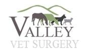 Veterinary Surgery in Mackay Veterinary Surgery in Mackay