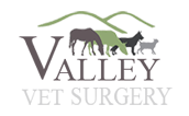 Veterinary Surgery in Mackay