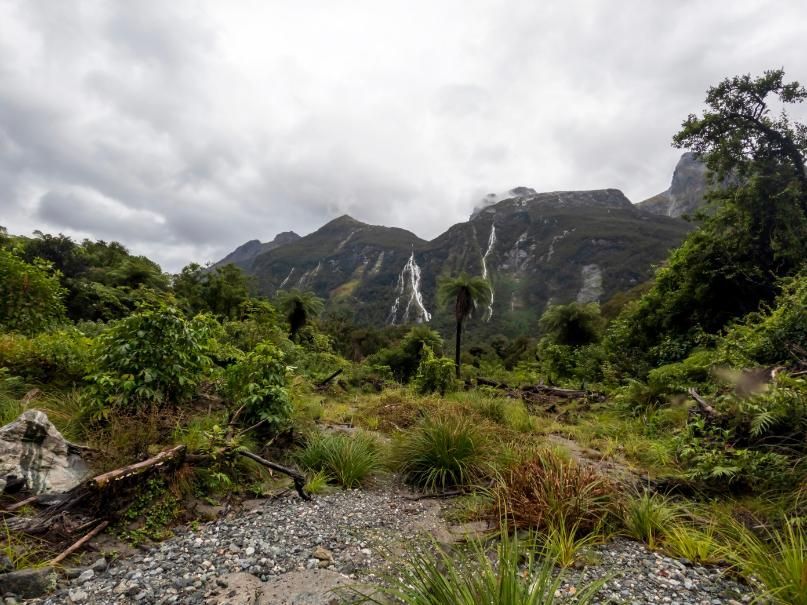 A Stream Running Through a Lush Green Forest With Mountains in the Background — Bonanno's Menswear in Sutherland, NSW