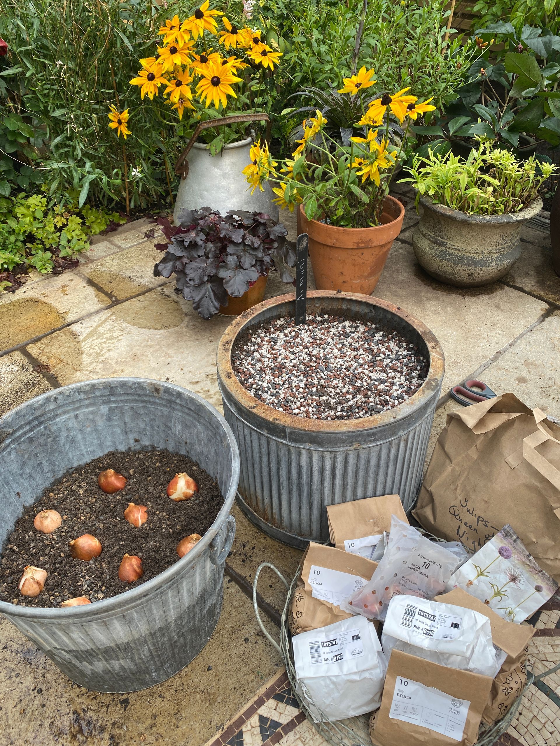 A patio scene showing potted flowers, a container of planted bulbs, and bags of bulbs waiting to be planted.
