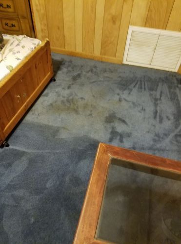 Stained Carpet Before Cleaning - Carpet Cleaning in Crestview, FL