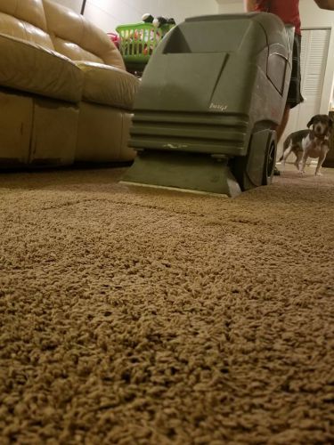 Carpet Cleaned - Carpet Cleaning in Crestview, FL