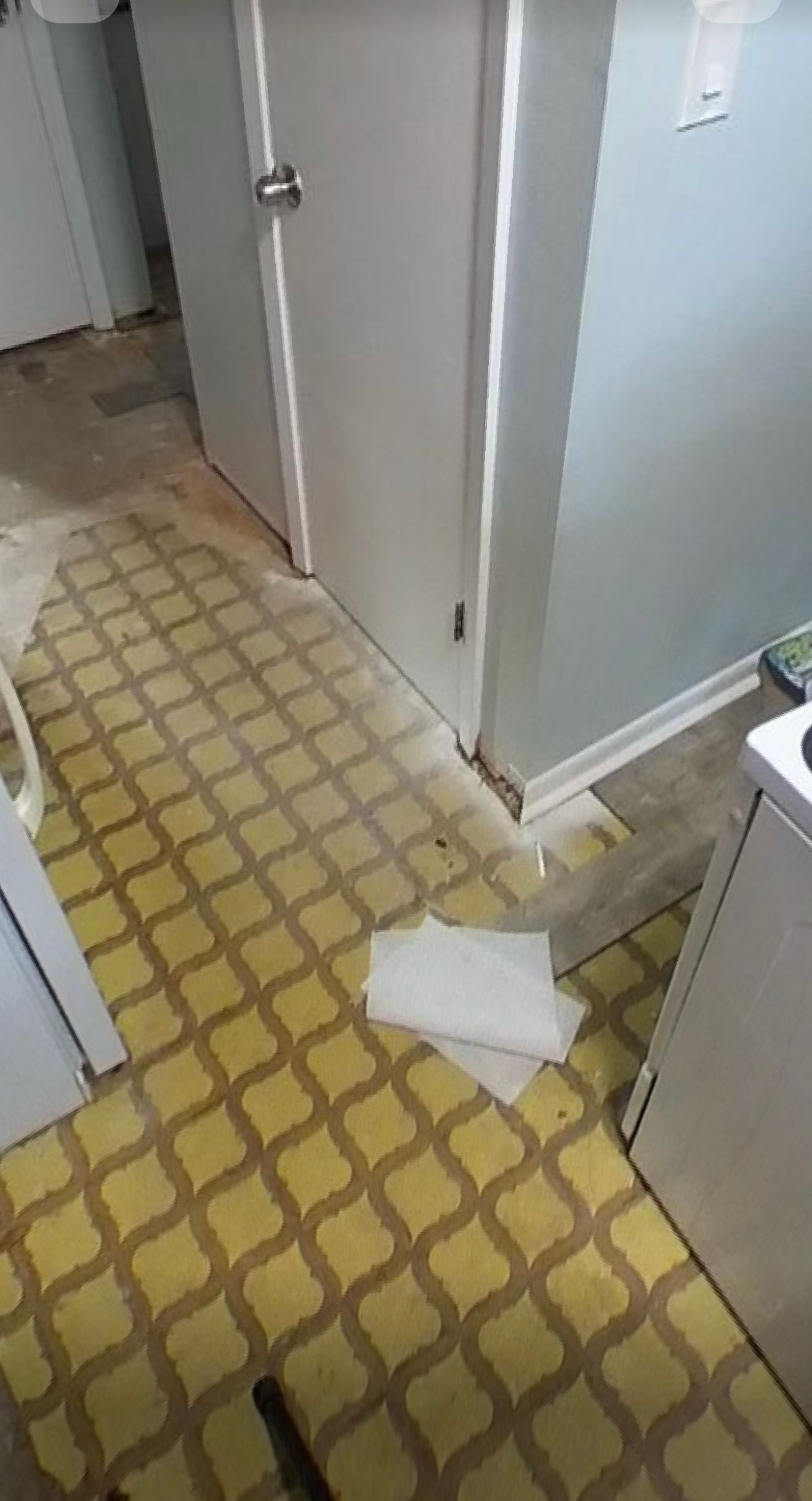 A piece of toilet paper is laying on the floor in a kitchen.