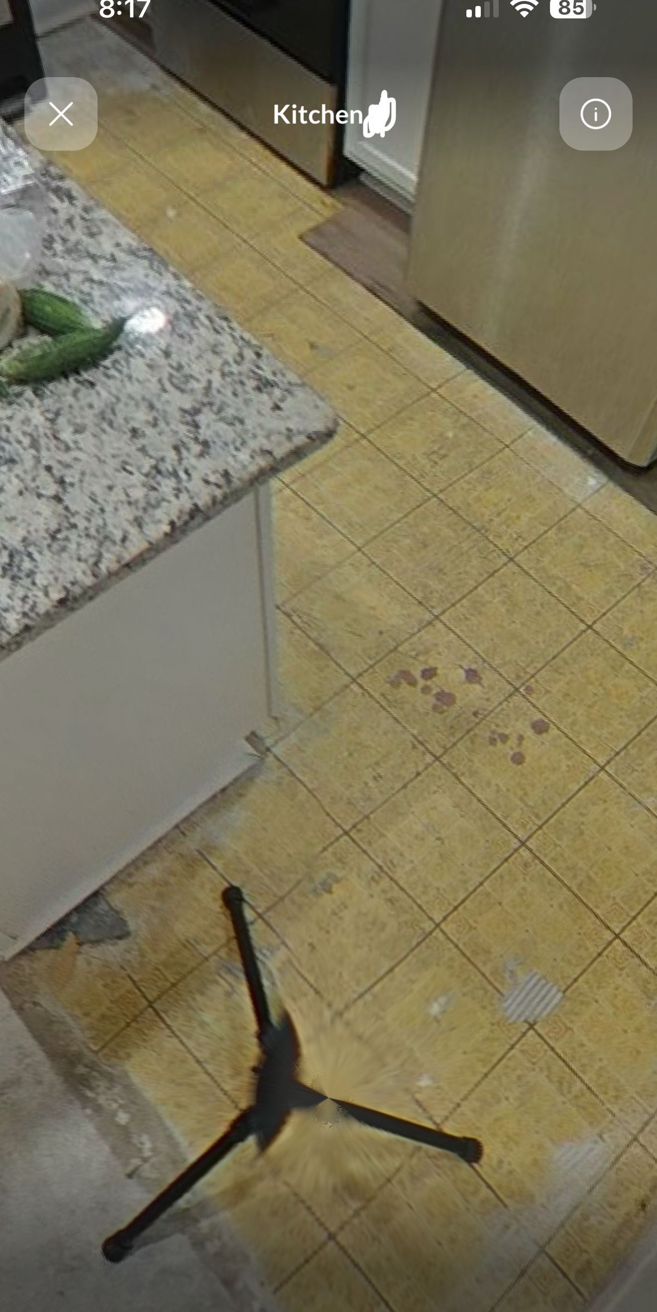 A microphone stand is sitting on the floor in a kitchen.