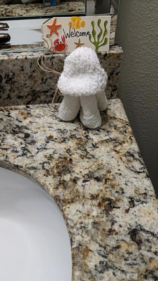 Window Residential and Commercial Cleaning — Small Mushroom Shaped Towel   in Crestview, FL