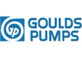Le logo des pompes Goulds est bleu et blanc.