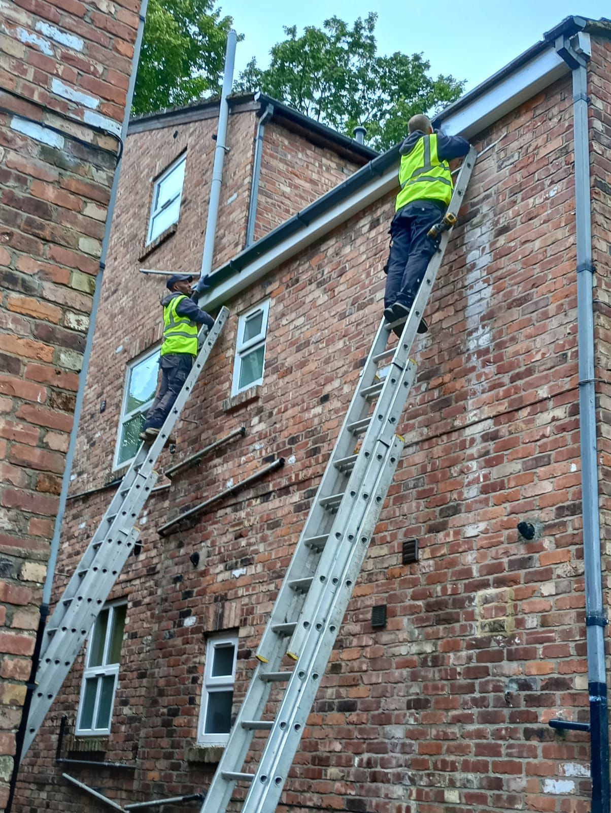 Two men are standing on ladders on the side of a brick building.