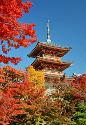 Restaurant — Japanese Castle Tower in Chesapeake, VA Restaurant — Japanese Castle Tower in Chesapeake, VA