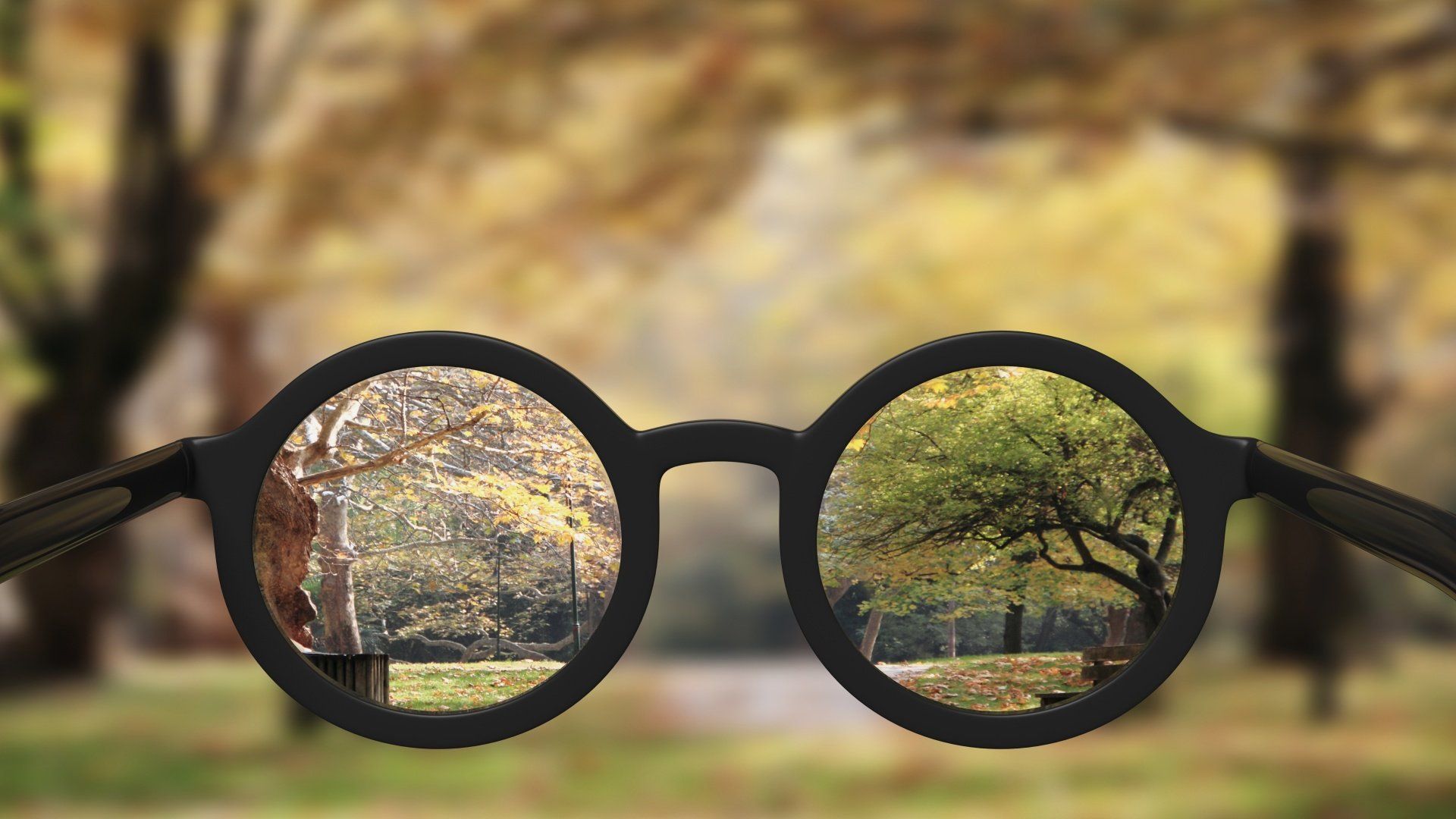 Glasses demonstrating how nearsightedness affects vision with and without vision correction
