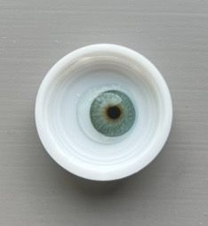 A close up of a prosthetic contact lens
