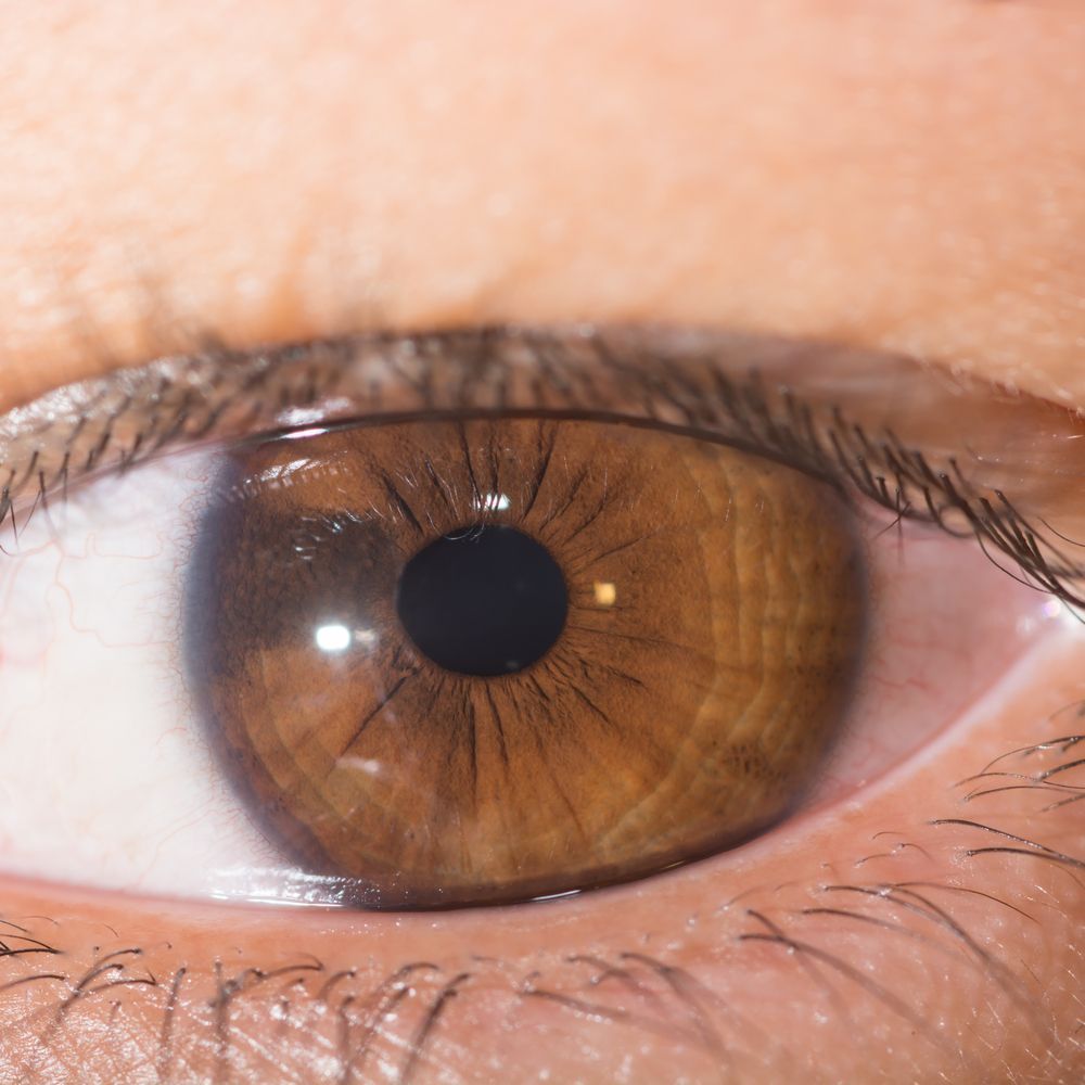 A close up of a brown eye with a freckle on the iris