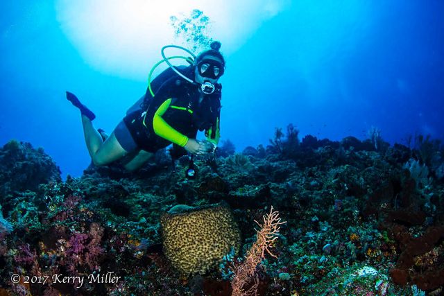 Black Rock Dive Site Forster