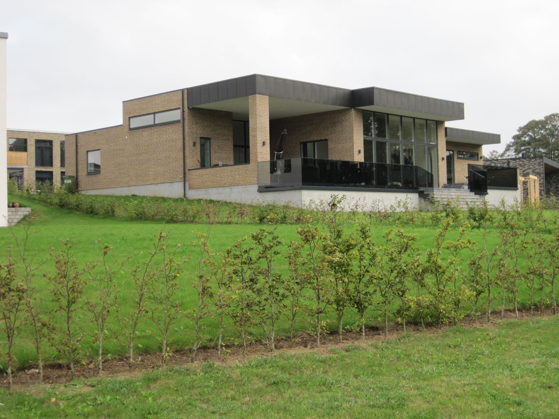 Moderne hus med fladt tag, store vinduer og en græsklædt græsplæne med en række små buske.