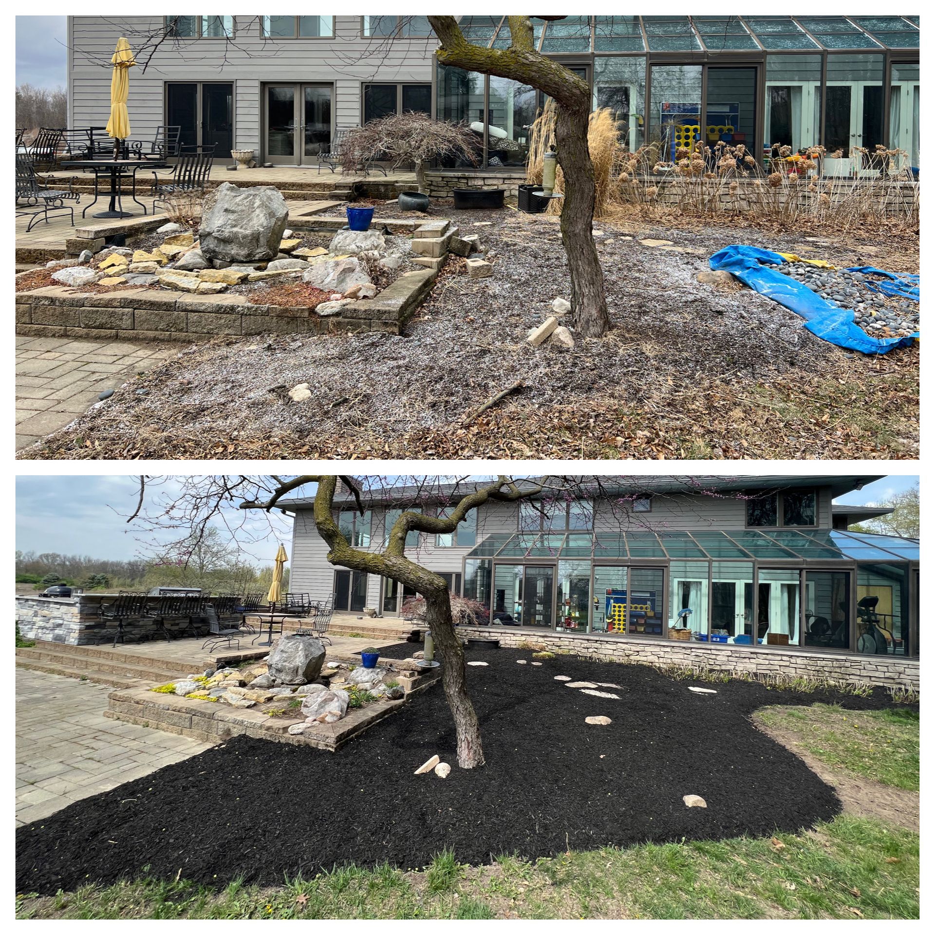 Before-and-after view of a home's backyard with a tree. Previously gray, now fresh black mulch is laid.