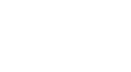 A white background with a few lines on it