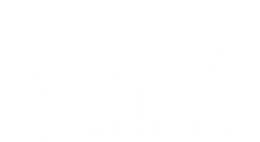 A white background with a few lines on it