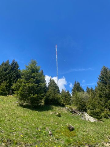 Ein großes Stück Holz wird von einem Kran angehoben.