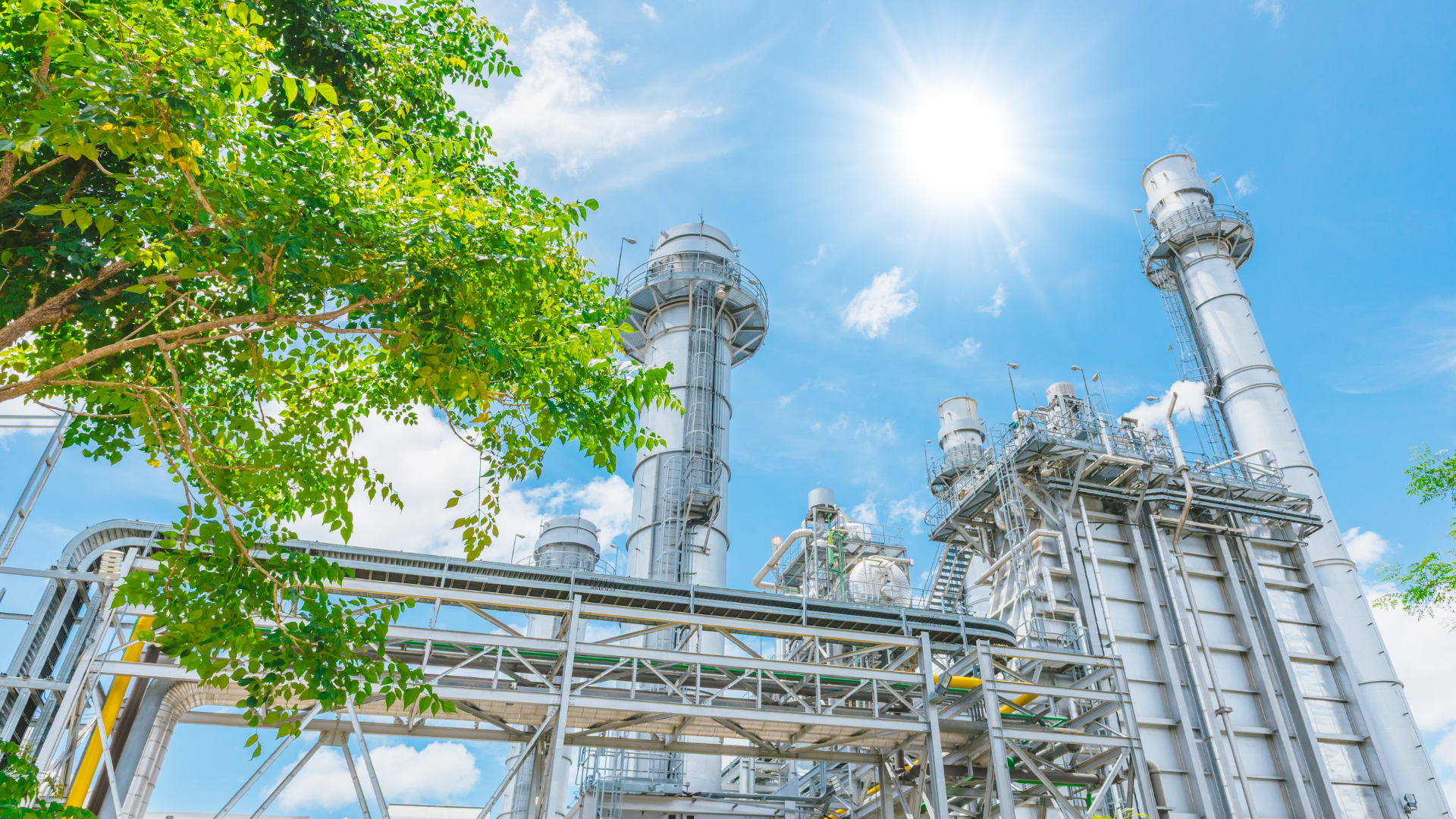 Industrial power plant with tall chimneys and pipe networks under a bright sun and clear blue sky, next to a green tree.