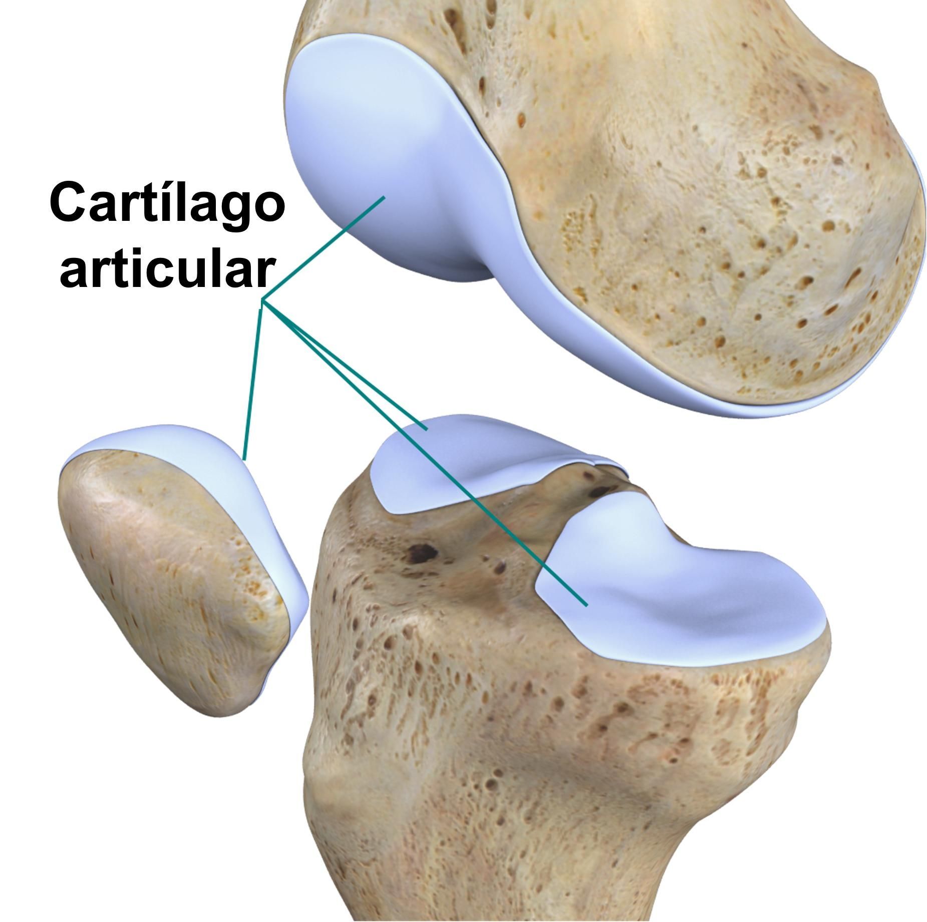 COLÁGENO EN POLVO -IMPRONATURAL