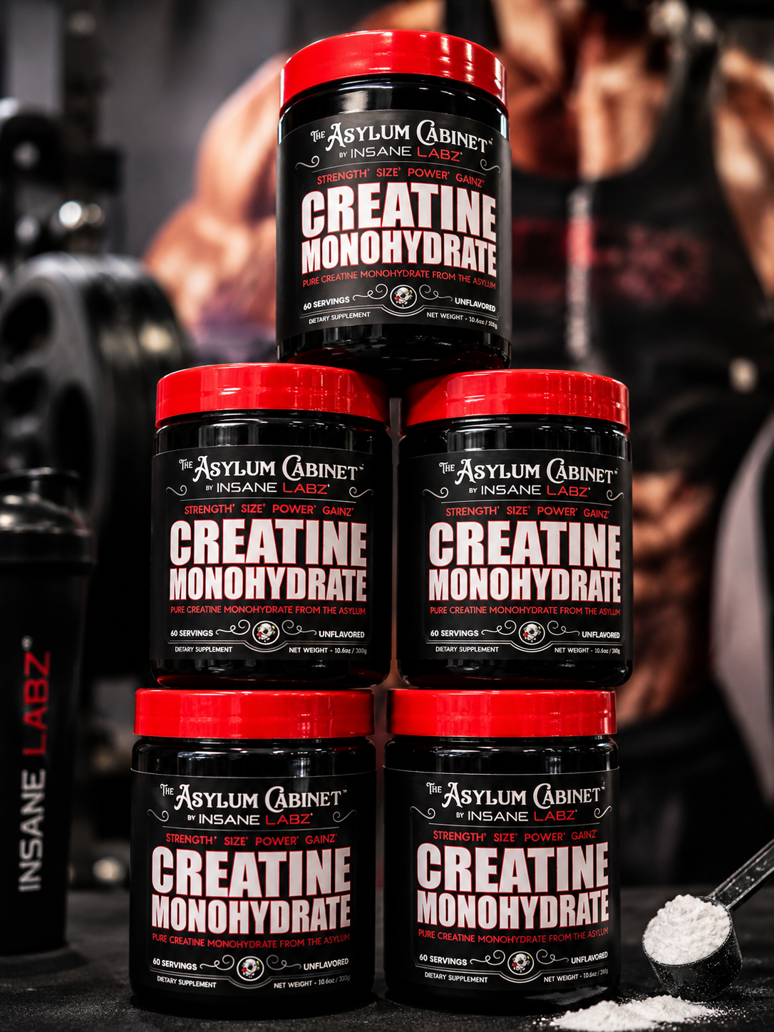 CREATINA INSANE LABZ 60 SERVICIOS