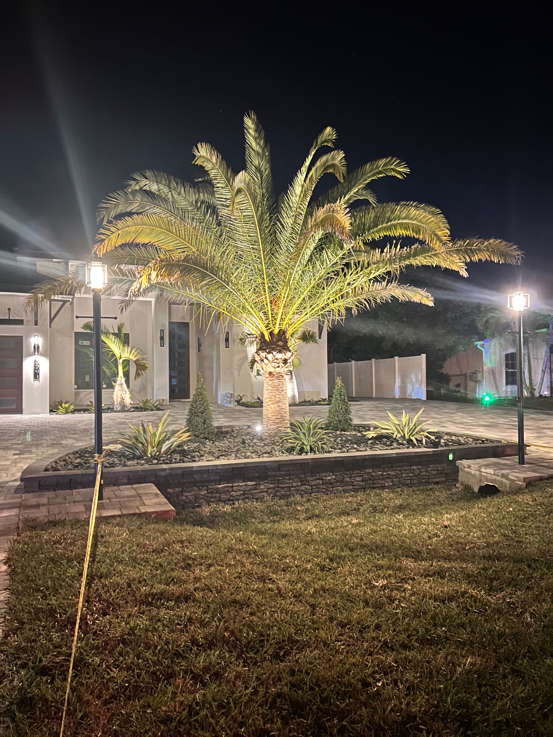 Night scene: illuminated palm tree in a garden bed, house in background, lit by spotlights and lampposts.