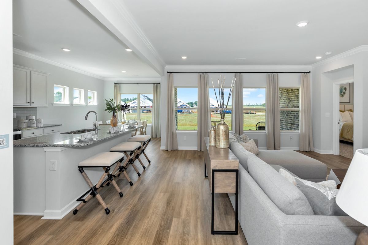 Open-concept living area with kitchen, dining, and living room; light wood floors, gray sofa, and outdoor view.