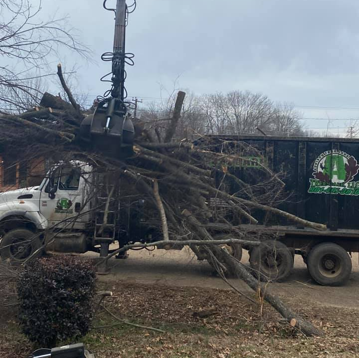Cutting Tree With Black Chain Saw — Hernando, MS — Addison Tree Care LLC