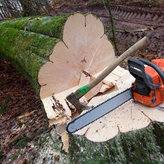 Cut Tree With Chain Saw — Hernando, MS — Addison Tree Care LLC