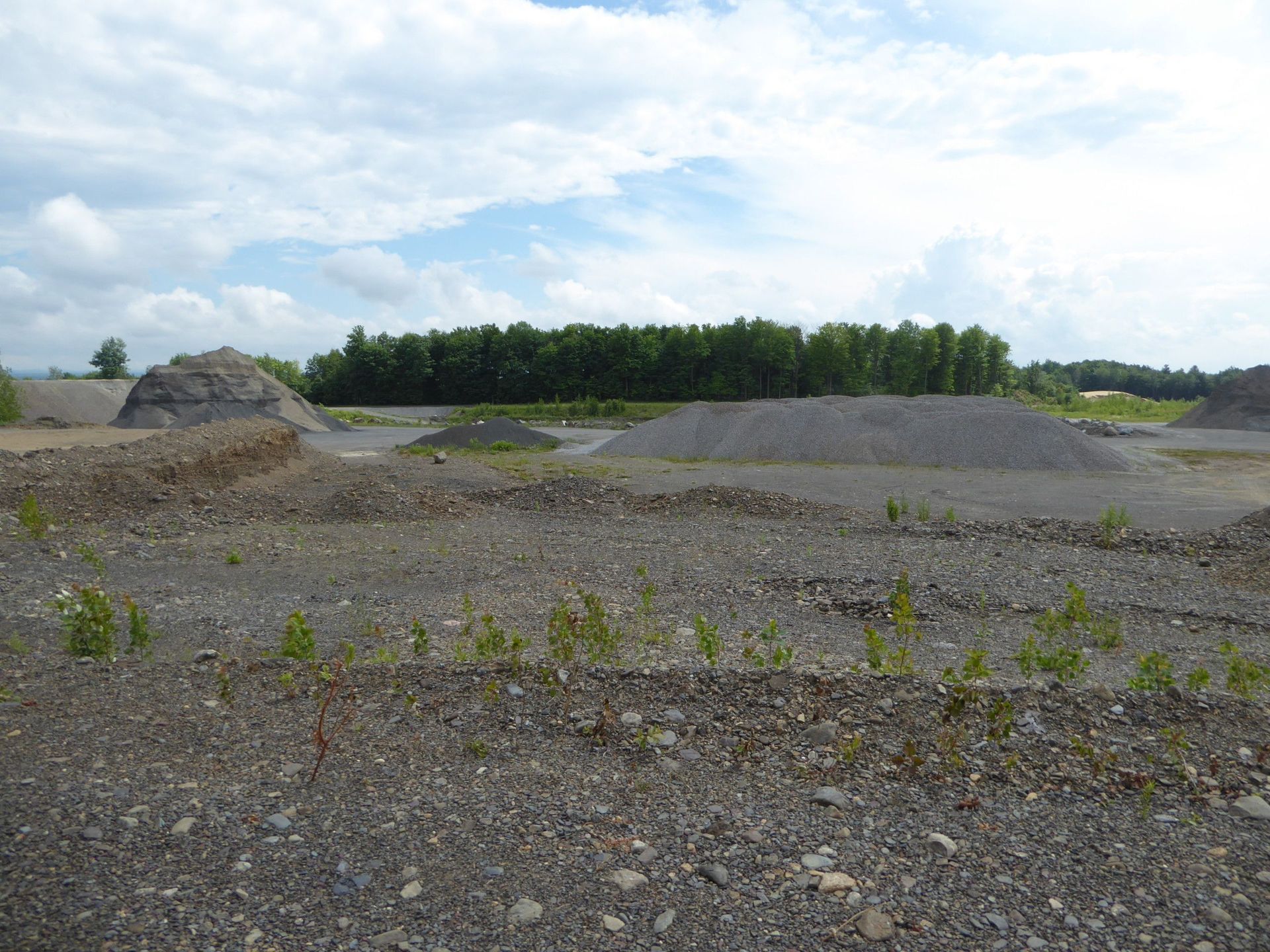 Un champ de terre avec beaucoup de rochers et d'arbres en arrière-plan